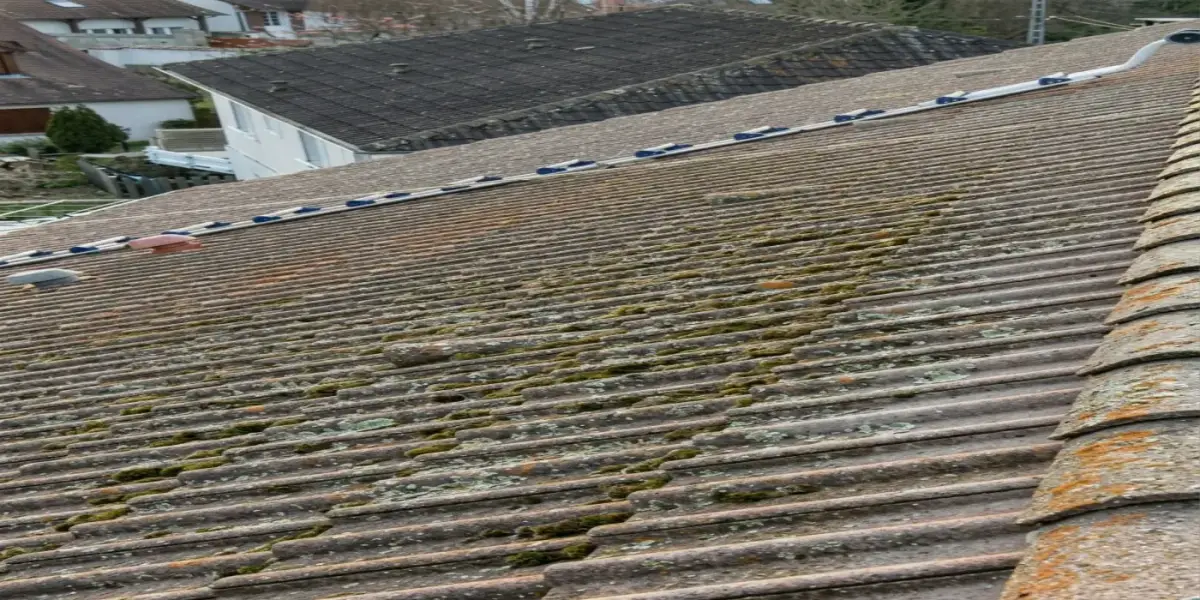 Nettoyage de toiture en Loire-Atlantique — avant (chantier 2)