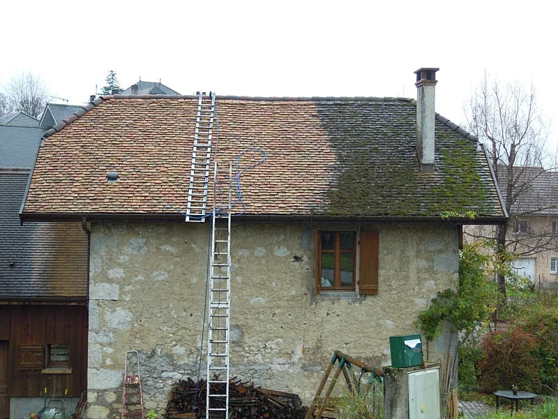 Démoussage de toiture en Loire-Atlantique