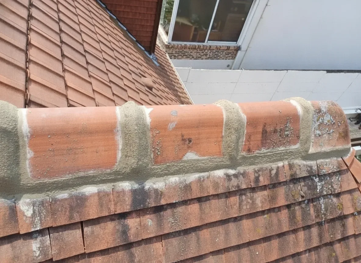 Traitement hydrofuge de toiture en Loire-Atlantique